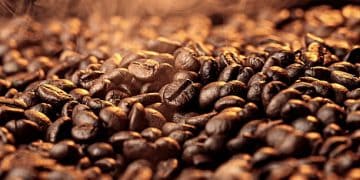 Finland's Kaffa Roastery Introduces AI-Developed Coffee Blend, Pioneering Industry Innovation