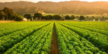 Farmers Worldwide Rally Against Free Trade Agreements