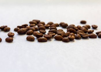 Blue Marble Partners with USAID to Support Kenyan Coffee Farmers