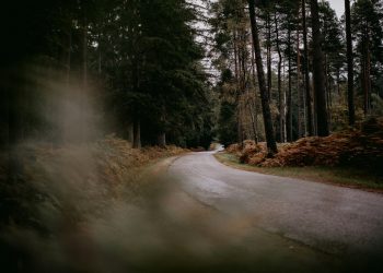 England to Receive £38 Million Funding for Road Safety Improvements