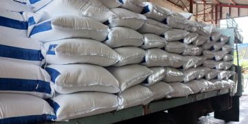 Indian Agricultural Trade: Export-Import Dynamics and Policy Challenges