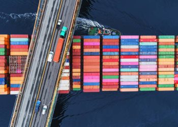 Bridge Collapse Disrupts Key Cargo Operations at Baltimore Port