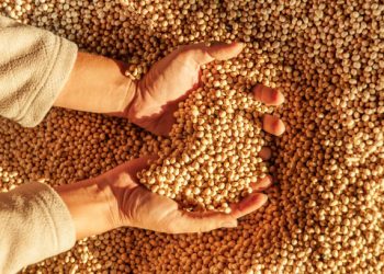 Discrepancies in China’s Soybean Trade Fuel Concerns Over Data Reliability