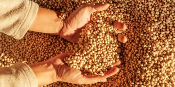 Discrepancies in China’s Soybean Trade Fuel Concerns Over Data Reliability