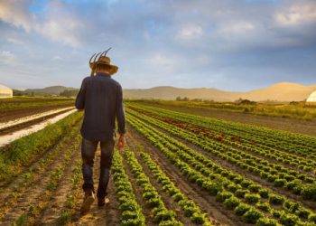 Senator Thune Advocates for Free Trade Agreements to Benefit Agriculture Sector