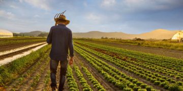 Senator Thune Advocates for Free Trade Agreements to Benefit Agriculture Sector