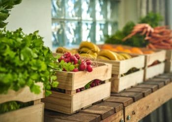 Vietnam's Fruit and Vegetable Export Surge: Insights from February 2024 Import/Export Statistics