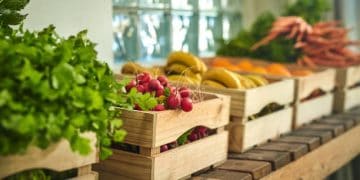 Vietnam's Fruit and Vegetable Export Surge: Insights from February 2024 Import/Export Statistics