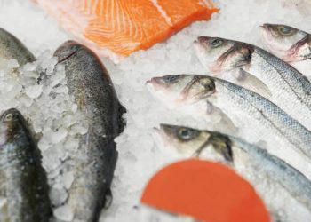 Frozen Fish Market Projected to Reach $54.5 Billion by 2032 with a 7.4% CAGR