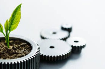 Career Opportunities for Sustainability Specialists in the Logistics Sector