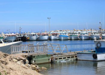 A row of fishing boats docked at a marina, with a wooden pier in the foreground under a clear blue sky, reminiscent of the bustling activity often seen at Mundra Port.