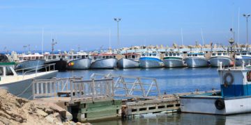 A row of fishing boats docked at a marina, with a wooden pier in the foreground under a clear blue sky, reminiscent of the bustling activity often seen at Mundra Port.