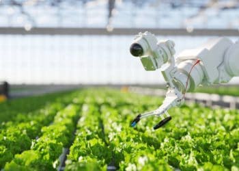 NSF and USDA Collaborate to Enhance Agricultural Robotics Innovation