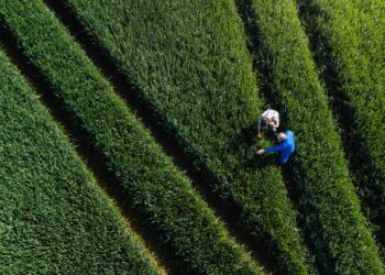 Maia Farms Secures $1.7 Million in Pre-Seed Funding to Expand Mycelium Production