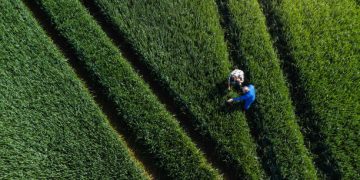 Maia Farms Secures $1.7 Million in Pre-Seed Funding to Expand Mycelium Production