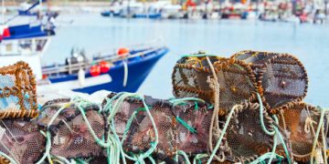 Decline in Irish Crab Market Puts Pressure on Fishing Industry