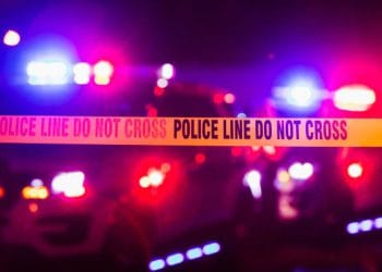 Singapore Releases Environmental Crimes Money Laundering National Risk Assessment