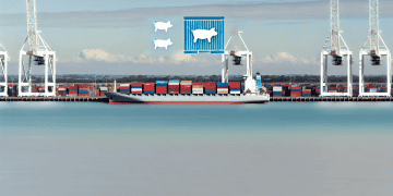 UK Sees Increase in Pork Imports While Exports Decline