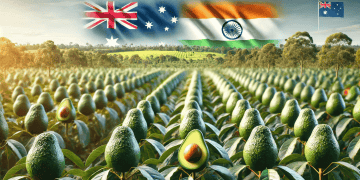 Australia Signs Free Trade Deal with India to Boost Avocado Exports