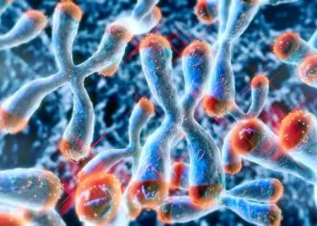 Enzymes Market: Key Trends and Investment Opportunities