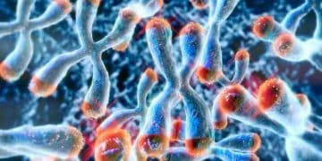 Enzymes Market: Key Trends and Investment Opportunities