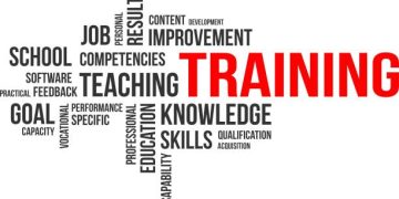 Examination of the Resilience of the Global Supply Chain Amidst Challenges