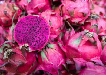 Japan Authorizes Import of Red Dragon Fruit from Taiwan After Extensive Negotiations