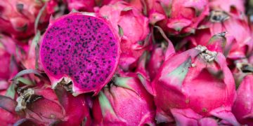 Japan Authorizes Import of Red Dragon Fruit from Taiwan After Extensive Negotiations