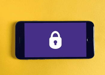 Study Reveals GDPR’s Impact on Firm Value and Cybersecurity