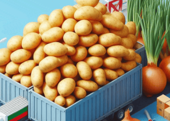 Morocco to Resume Potato and Onion Exports to Africa
