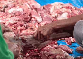 Philippine Meat Import Growth Expected to Stabilize