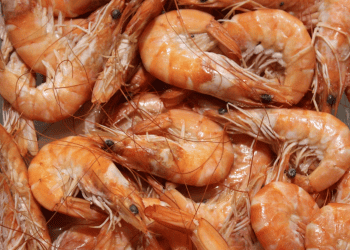 Colombia Restricts Ecuadorian Shrimp Imports Amid White Spot Virus Concerns