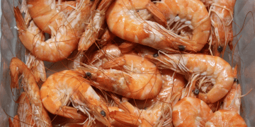 Colombia Restricts Ecuadorian Shrimp Imports Amid White Spot Virus Concerns