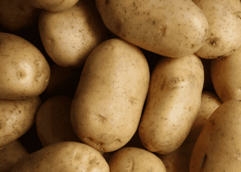 West Bengal Traders Call for Strike Over Export Issues Amidst Government Tensions