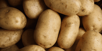 West Bengal Traders Call for Strike Over Export Issues Amidst Government Tensions