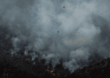 Gallatin County Hires Local Wildfire Mitigation Crew