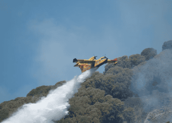 Rhizome Launches Wildfire Risk Mitigation Product and Receives Investment from Convective Capital