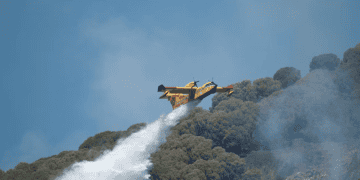 Rhizome Launches Wildfire Risk Mitigation Product and Receives Investment from Convective Capital