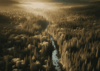 Superior Watershed Partnership and the Great Lakes Climate Corps Collaborate on Wildfire Risk Reduction Across Upper Peninsula