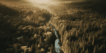 Superior Watershed Partnership and the Great Lakes Climate Corps Collaborate on Wildfire Risk Reduction Across Upper Peninsula