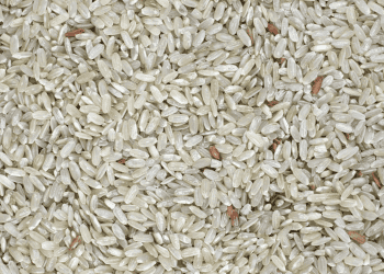 Thai Rice Exports Expected to Increase Due to Weakening Currency