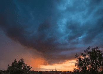 Developing a Plan for Dryland Cotton Production Amidst Rain and Risk