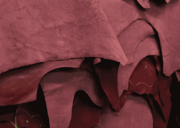 Leather and Footwear Industry Innovates for Global Competitiveness