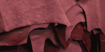 Leather and Footwear Industry Innovates for Global Competitiveness