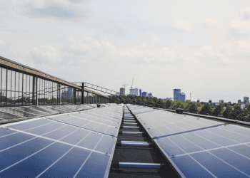 US Official Alessandra Carreon Advocates for Clean Energy Transition to Combat Climate Change