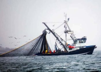 Quantifying Global Redundant Fisheries Trade to Streamline Seafood Supply Chains