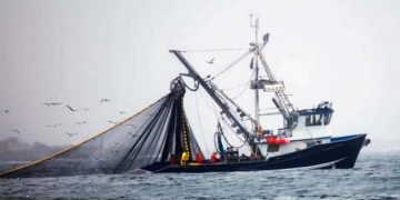 Quantifying Global Redundant Fisheries Trade to Streamline Seafood Supply Chains