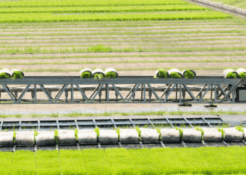 Poland Aims to Boost Agricultural Exports to Vietnam