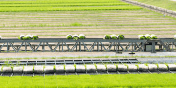 Poland Aims to Boost Agricultural Exports to Vietnam