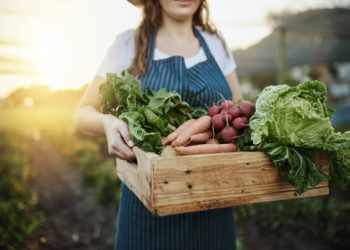 Hà Nội Enhances Agricultural Product Chains for Greater Economic Efficiency